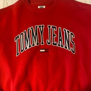Tommy Hilfiger sweater clean no stains
